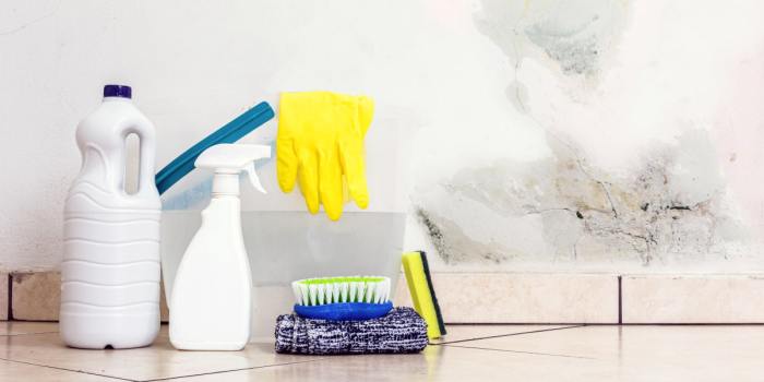 How to get rid of mold in shower