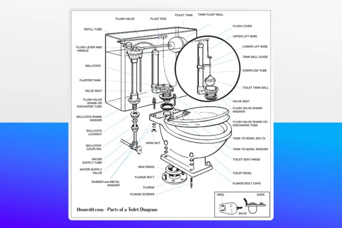 The parts of a toilet