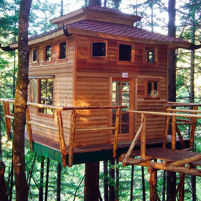 Kids tree house ideas