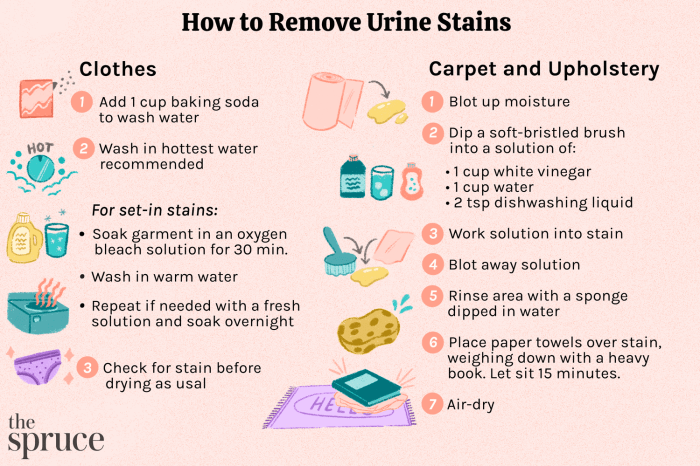 How to remove urine stains