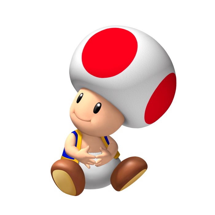 Toad lily growing guide