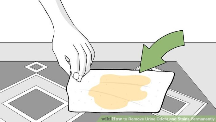 How to remove urine stains