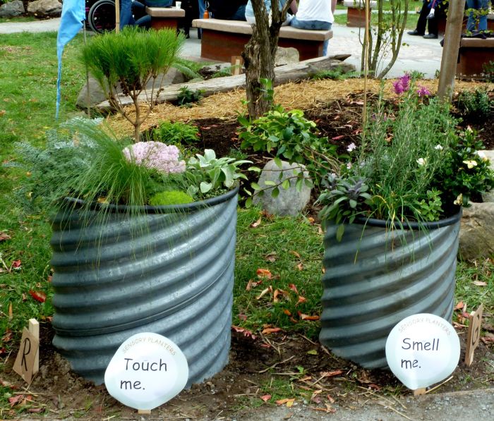 How to make a winter sensory garden