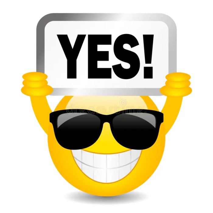 Can you use a steam cleaner on hardwood