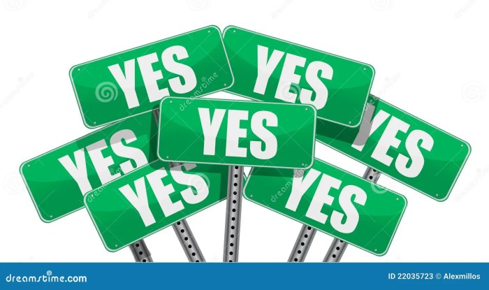 Can you use a steam cleaner on hardwood