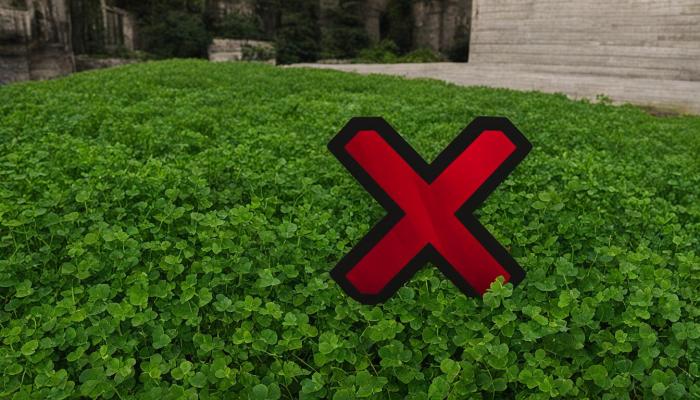 How to get rid of clover in lawn