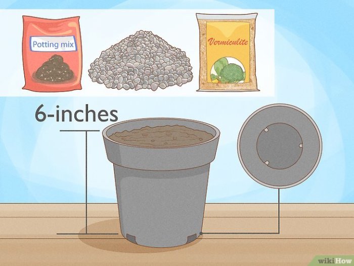 How to propagate money tree