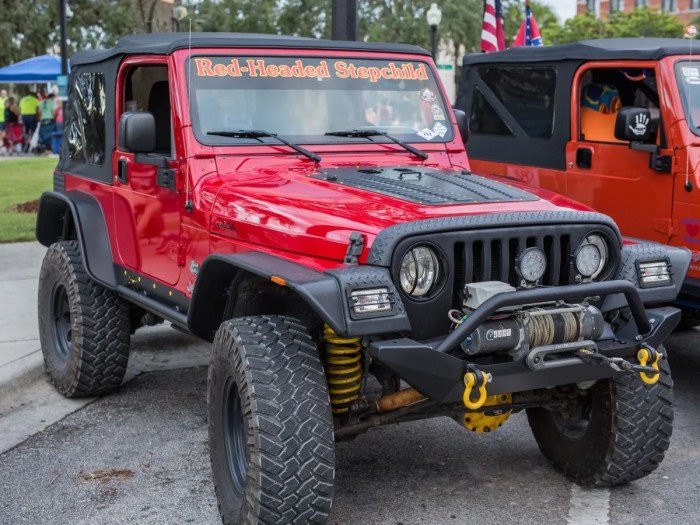 Jeep Wrangler TJ Overview | RealTruck Tjmaxx viral monet art