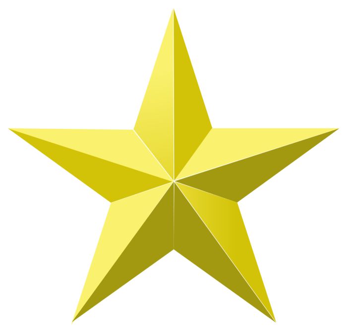 STAR – Björns webbsida Star of bethlehem plant profile