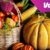 When to Harvest Pumpkins A Complete Guide