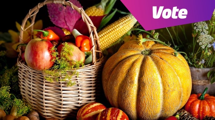 When to harvest pumpkins