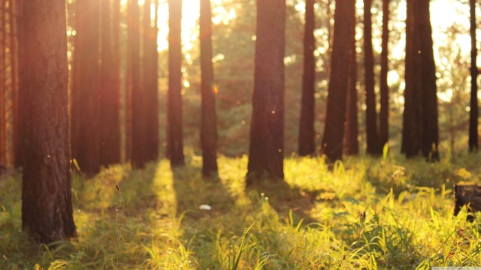 Warm paint colors to never use in the bathroom