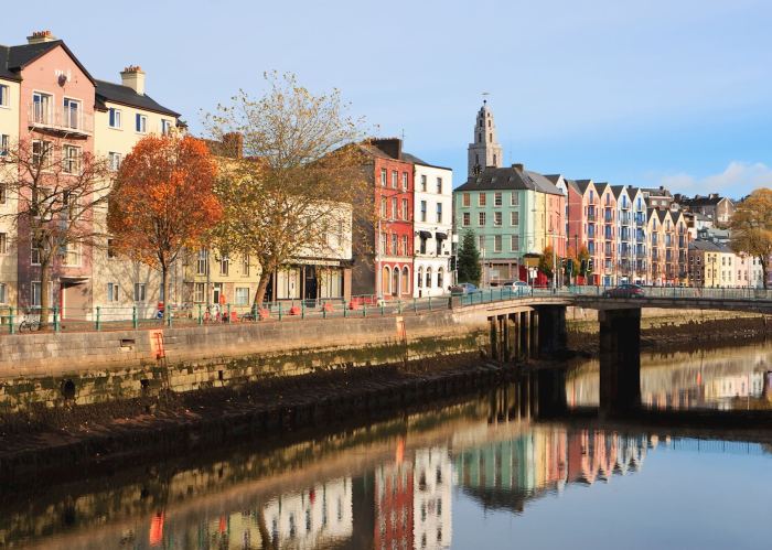 Cork flooring pros and cons