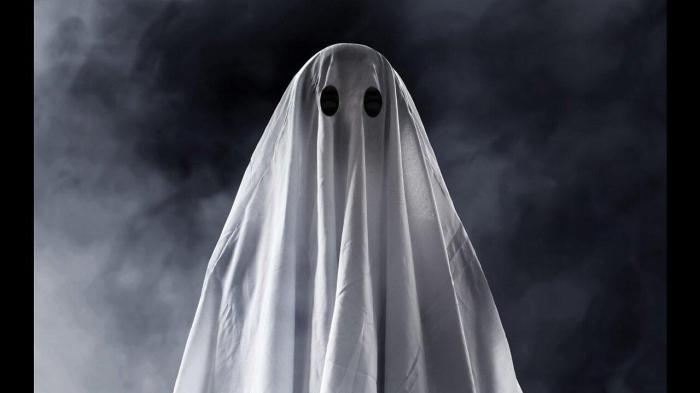 Ghost plant succulent care and growing guide