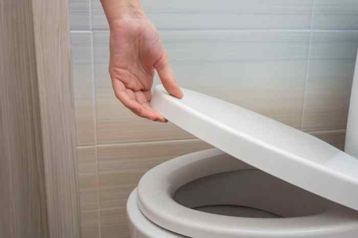 Assessing and repairing a cracked toilet