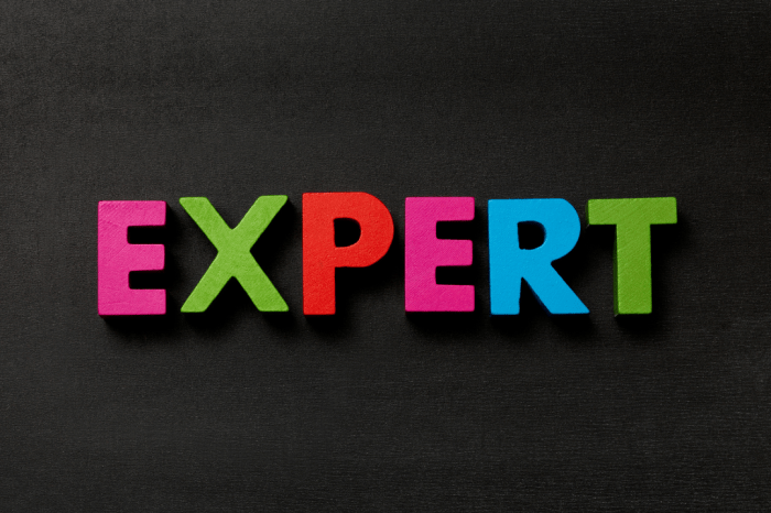 Ask the Expert button. Ask Expert speech bubble. ask expert banner ... Expert holiday shopping survival tips