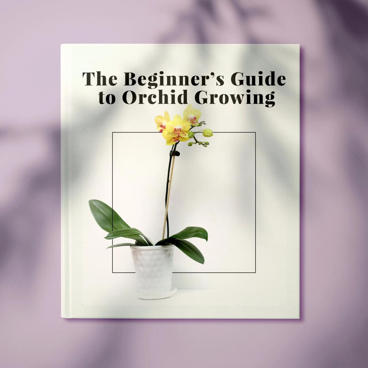 Beginners orchid care guide