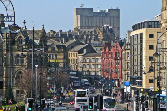 Bradford pear trees care problems solutions