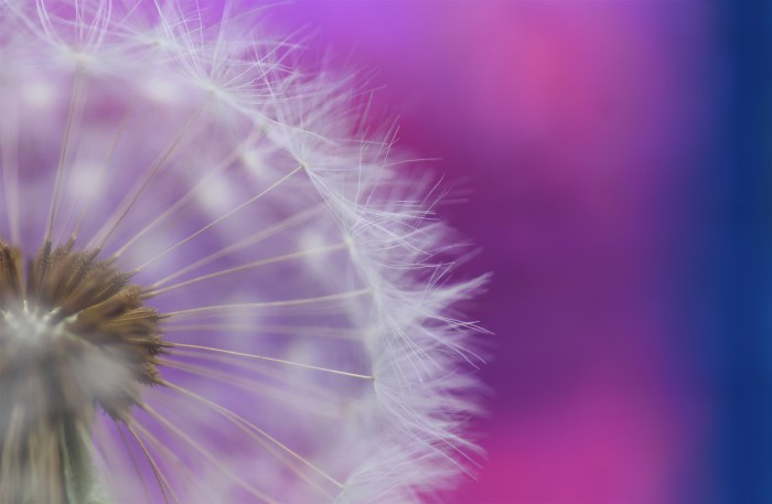 The one laundry setting you should be using more