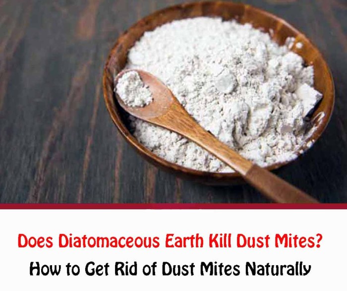 Does diatomaceous earth really kill spider mites