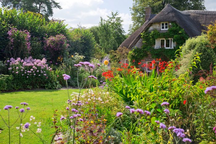 Garden mistakes attracting pests