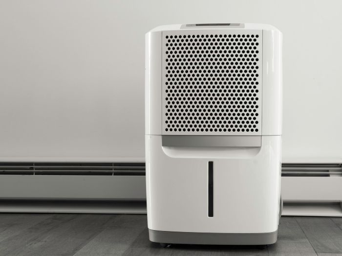 Best dehumidifiers for basements