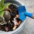 Are Eggshells Good for Plants? A Gardeners Guide