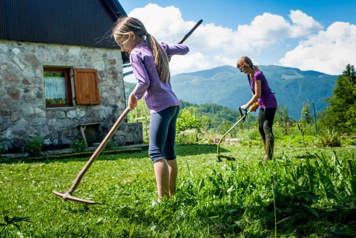 Dethatching lawns the what why how and when