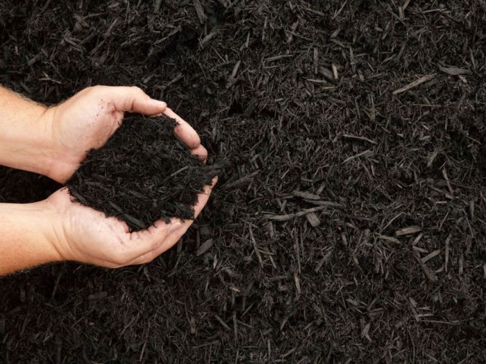 How often should you replace mulch