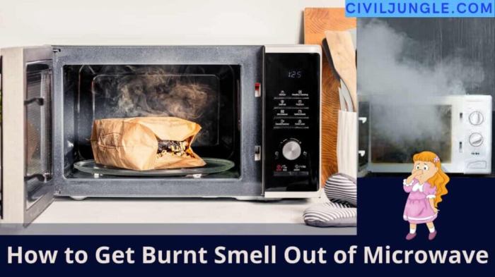 How to get burnt smell out of a microwave