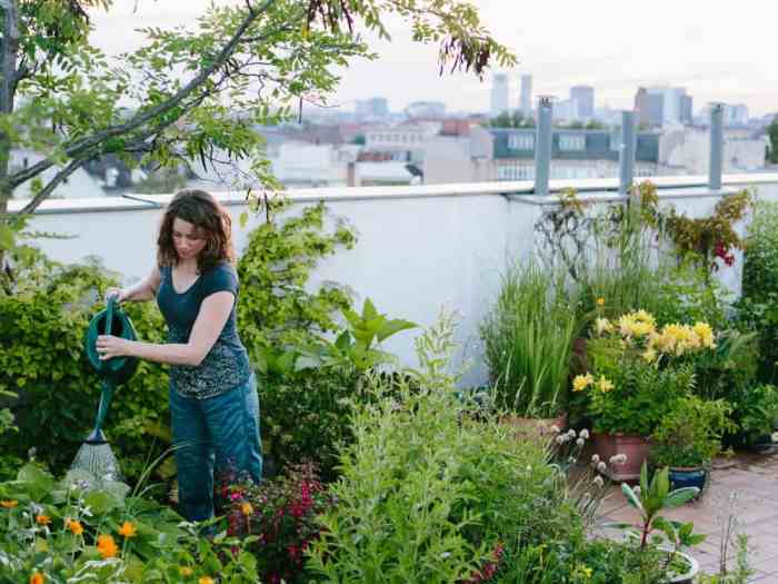 Apartment gardening for beginners