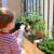Apartment Gardening for Beginners Your Urban Oasis