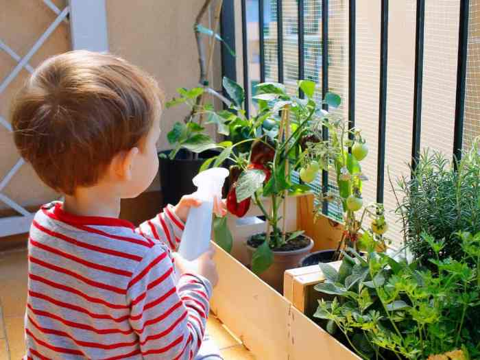 Apartment gardening for beginners