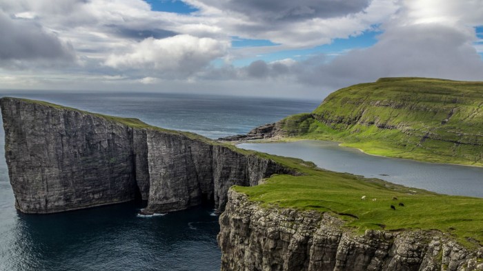 Above ground pool cost