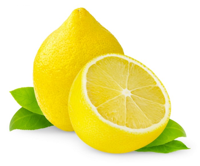 Lemon tree plant profile