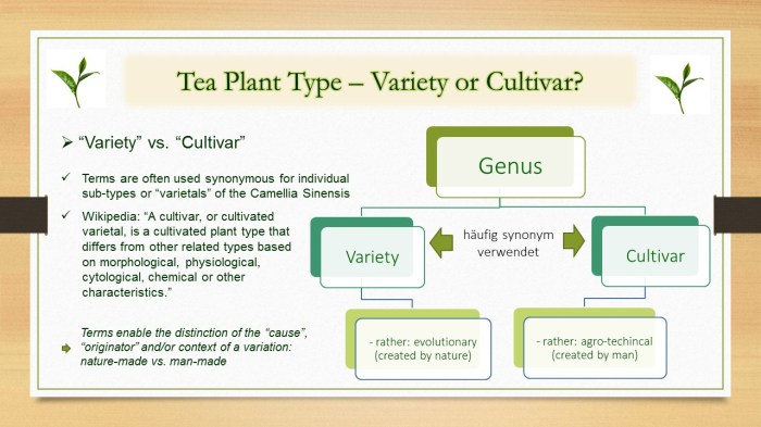 Cultivars vs Varieties How Do They Differ?
