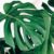 Monstera Leaves Turning Brown A Deep Dive