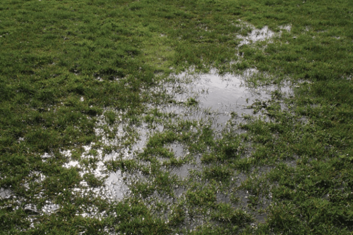 Ways to fix a muddy lawn in winter