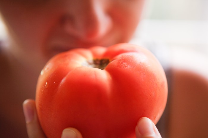 How To Know When To Pick Tomatoes! The Secret To Great Flavor When to pick tomatoes