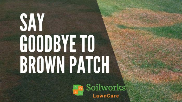 This product is making my brown lawn green again