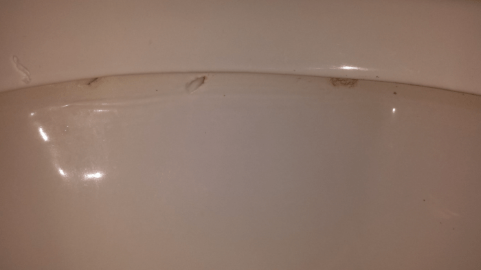 Assessing and repairing a cracked toilet