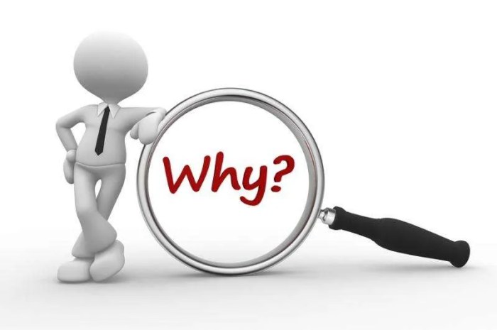 Why marigolds are better than mums