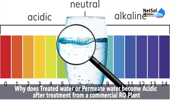 Grignard reagent : r/OrganicChemistry What is acidic soil p2