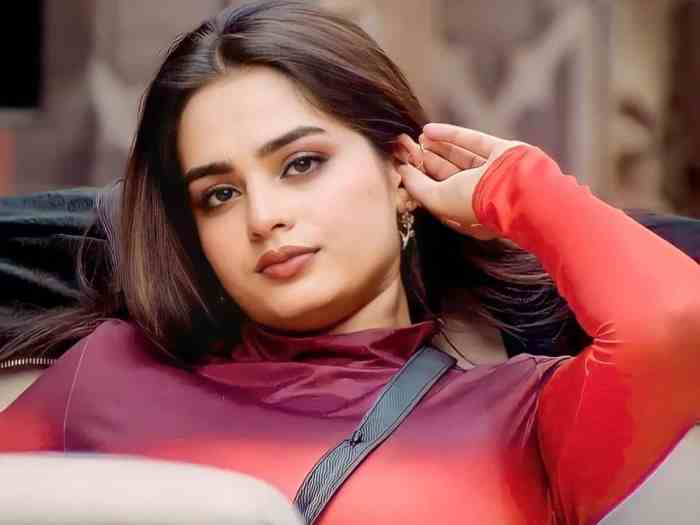 Ayesha curry holiday decorating tips