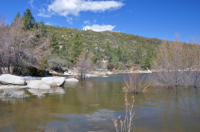 Understanding and improving clay soil