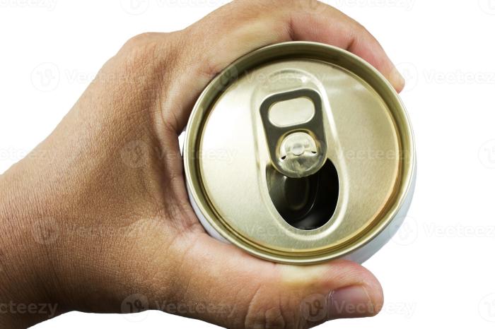 Can you repot plants in winter