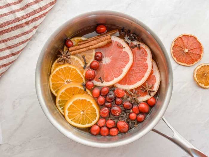 Simmer pot trick for home