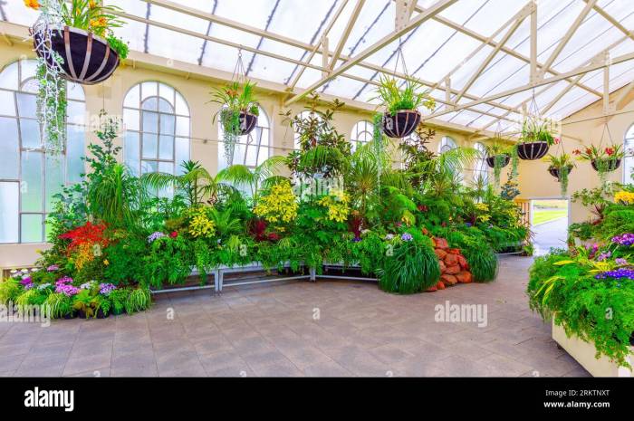 Botanical decor ideas and designer tips