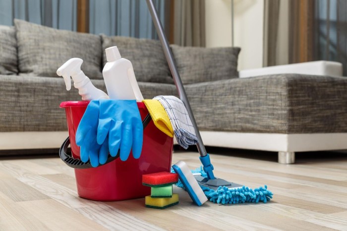 Cleaning tricks for post holidays