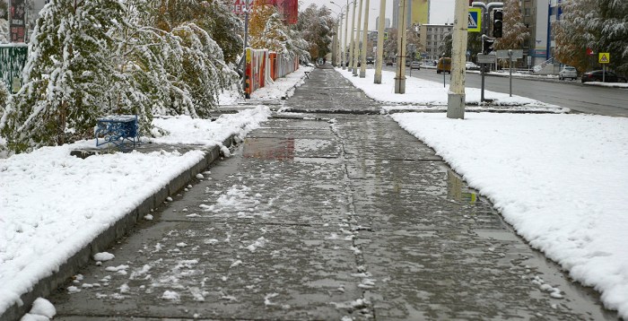 Is deicing salt bad for your lawn